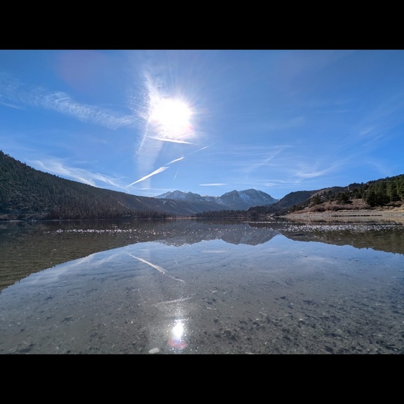 Meet your Posher, Sultana - Picture 2 of 2